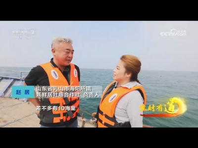 中央财经电台探访乳山【蚝鲜居】创始人，作为非遗文化的乳山牡蛎养殖有了新故事！